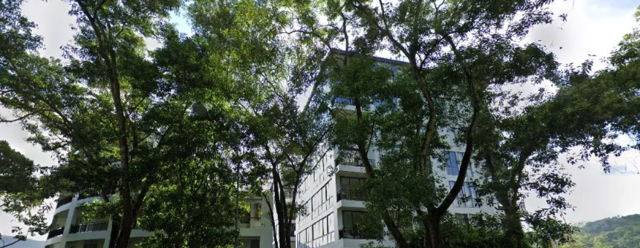 Icon Park